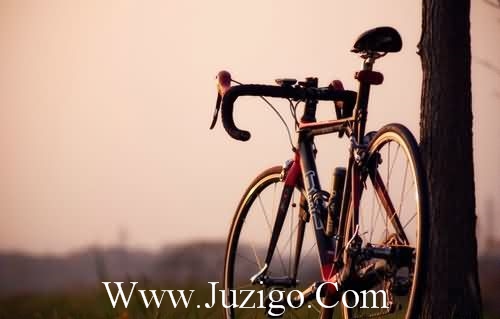 与生活有关的谚语67句