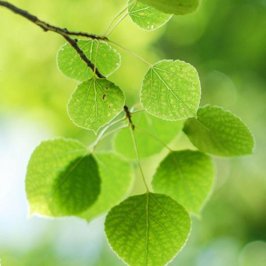 摩登家庭暖心语录