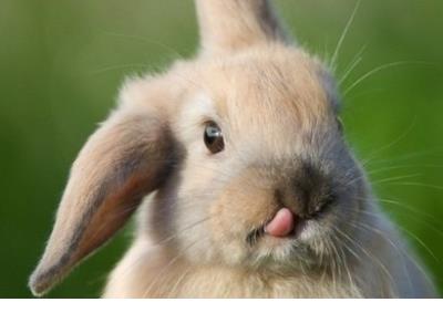 摩登家庭暖心语录