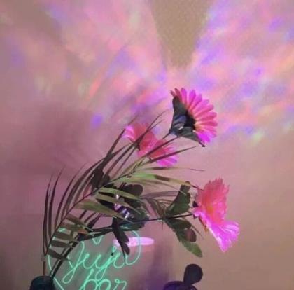 大学毕业幽默语录大全