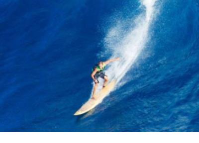 围城语录关于婚姻