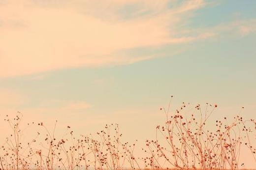 不糊第一把前一句