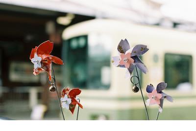 老祖宗的200句实话