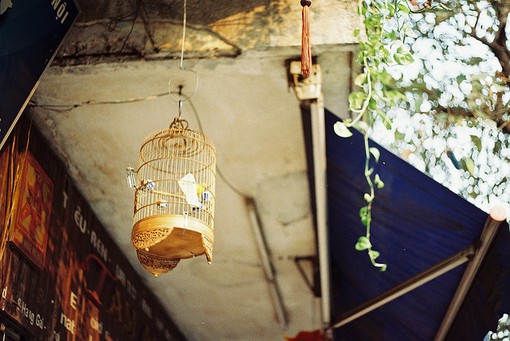 文艺小清新语句 小众却惊艳的文案(68句)