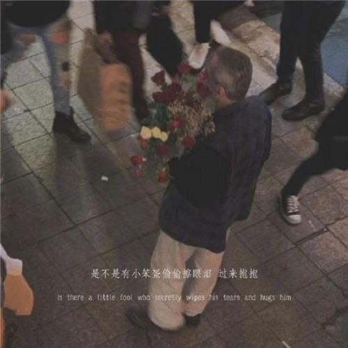 有关动物的俗语有哪些