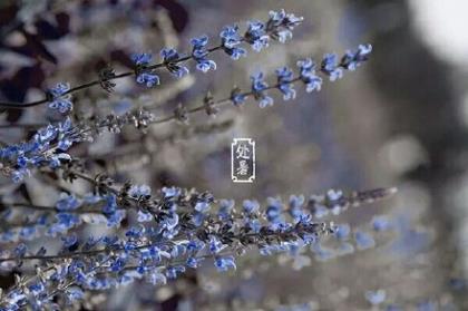 一年级语文歇后语