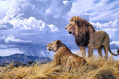 满月酒贺词85句