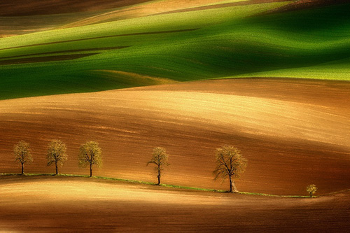 大学校庆贺信62句