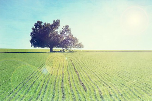 感恩母亲简短话(精选95句)