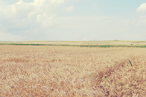 失恋性签名女生88句