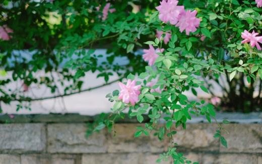 励志qq签名经典语句