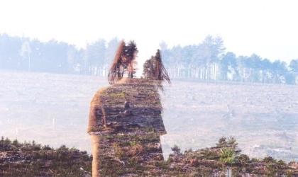 励志qq签名经典语句