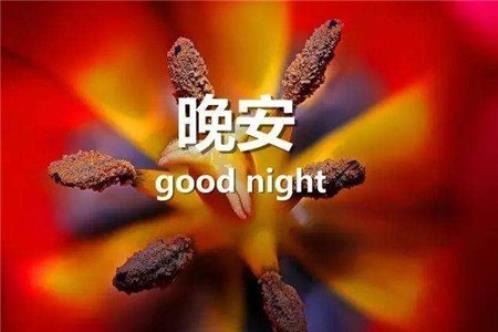 2023最新摘草莓朋友圈说说