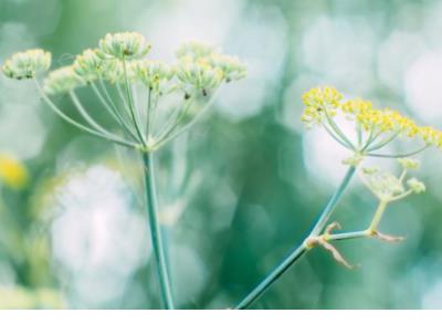 女人霸气微商励志语录