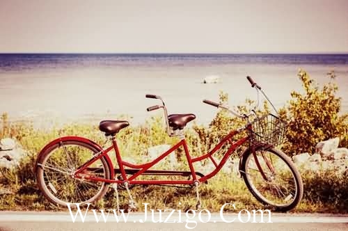 反应农谚语84句