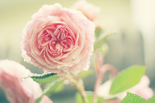 一年级学到的天气谚语85句