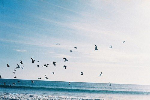 很短的拟人句42句