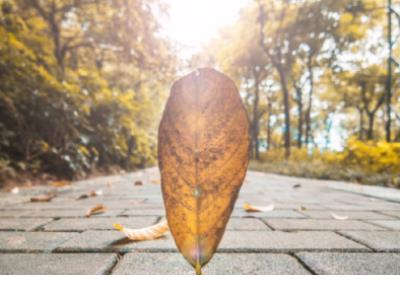 感慨一年又过去了说说