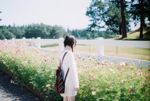 感慨一年又过去了说说