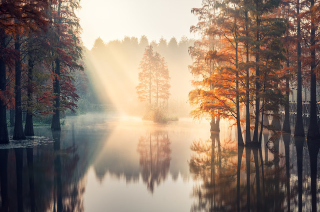 2023牛年特色拜年词 2023最新拜年祝福语牛年