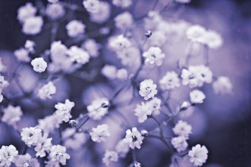 关于2023年的qq说说