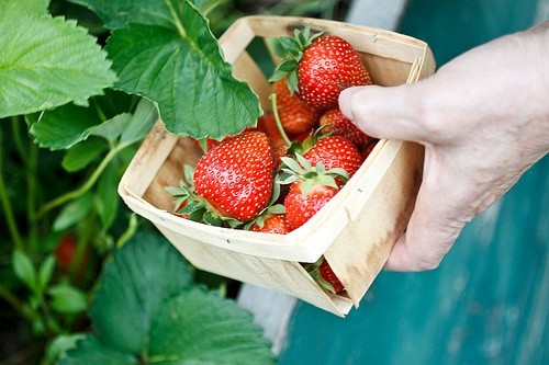 和饮食有关的英文谚语