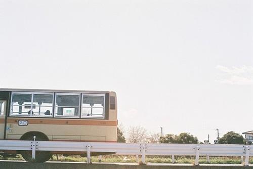 适合小朋友说的拜年词虎年