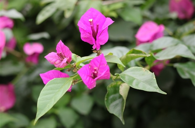 男生简单帅气的网名