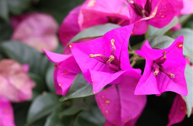 改变运气的微信名字2023