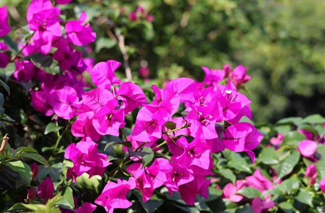 qq飞车独一无二的游戏名字男生 qq飞车独一无二的游戏名字男生