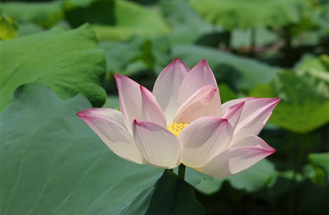 qq飞车独一无二的游戏名字男生 qq飞车独一无二的游戏名字男生