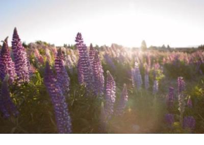 篮球坚持励志说说