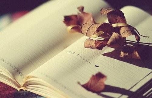 篮球励志语录图片带字