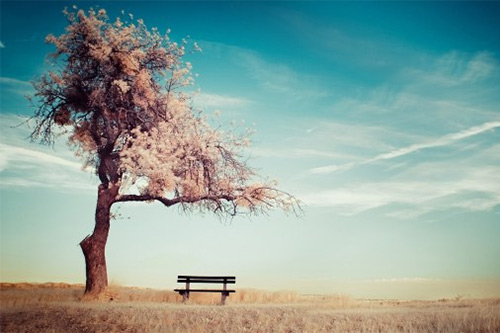 排比句申论51句