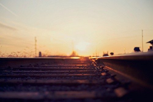 动物气象谚语86句