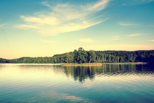 关于团结合作谚语63句