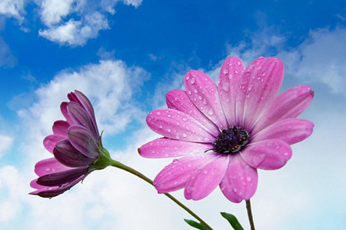 半山崖的观音歇后语29句