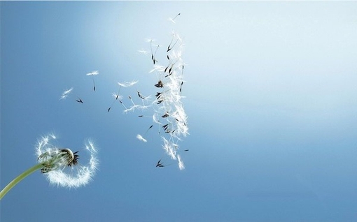 上鞋不用锥子歇后语30句