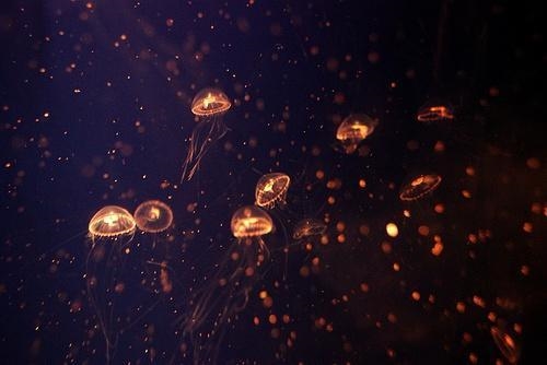 在外漂泊的伤感的说说(通用54句) 在外漂泊的伤感的说说(通用54句)