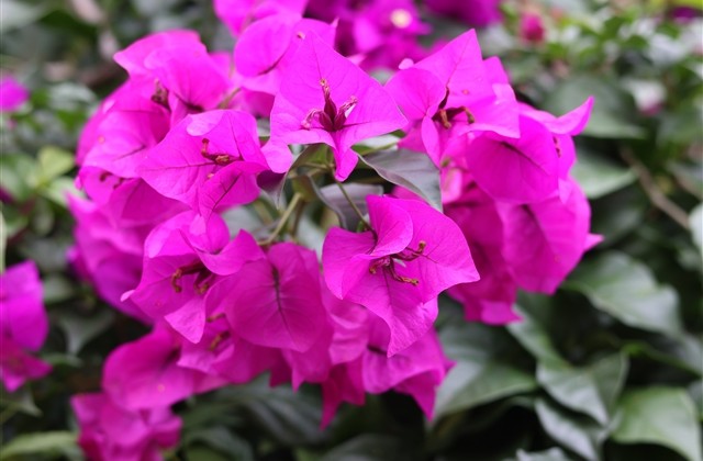 女生网名小清新(共136个)