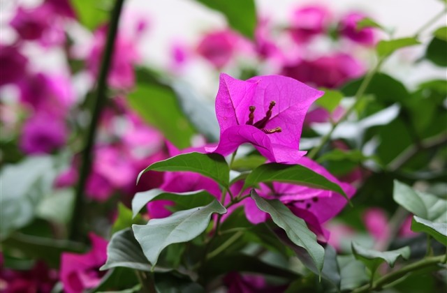 伤感唯美的网名(精选133个)