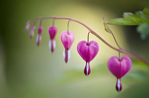 植树造林的谚语56句