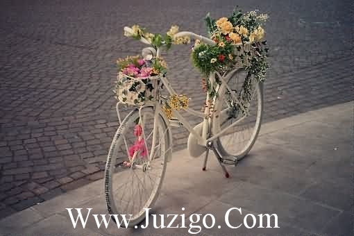 音乐排比句21句