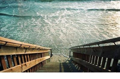 单身狗过情人节的说说