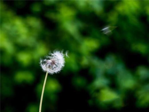 再见十月十一月你好的优美语句