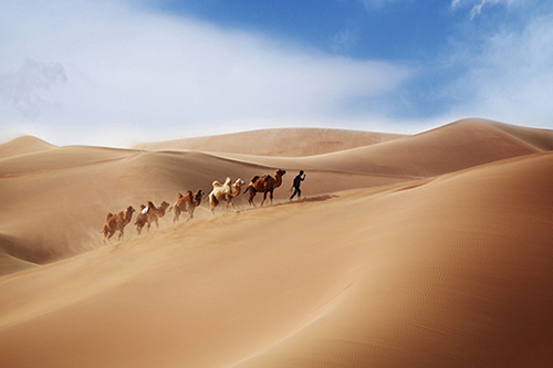 有关农业的谚语68句