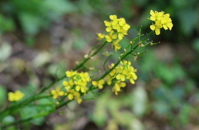 适合女生游戏昵称一对两个字(560个) 适合女生游戏昵称一对两个字(560个)