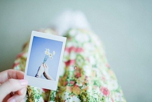 燕尾蝶台词10句