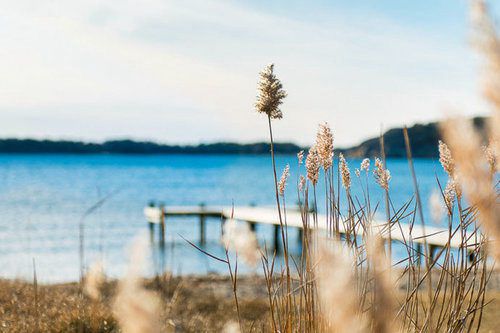 勇气是排比句14句