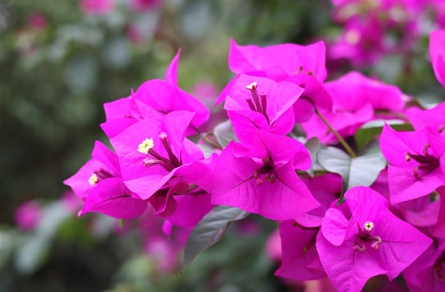 高三奋斗的网名